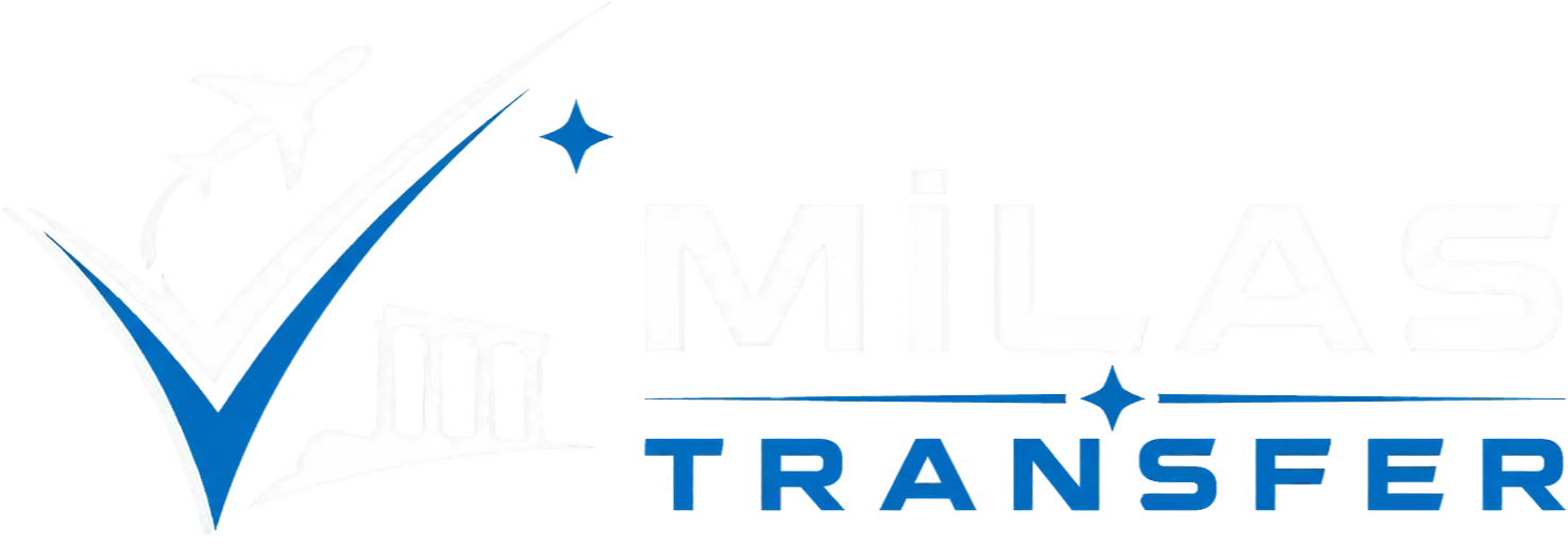 Footer Logo